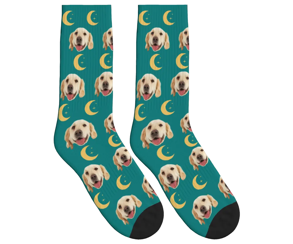 Moons & Pup Faces Socks - Teal / Crew Socks