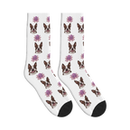 Octopus Friend Dog Face Socks in White with a custom dog photo