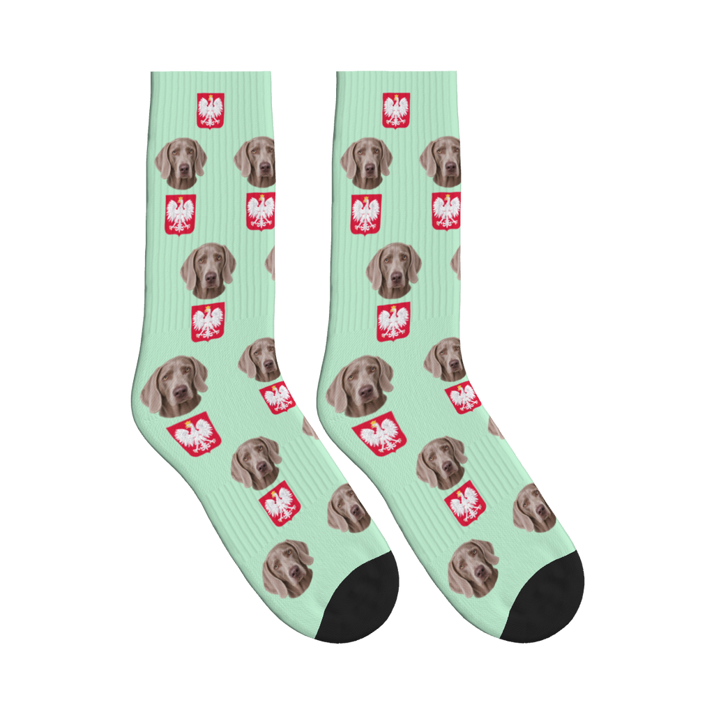 Polish Eagle Dog Face Socks in Mint Green with a custom dog photo