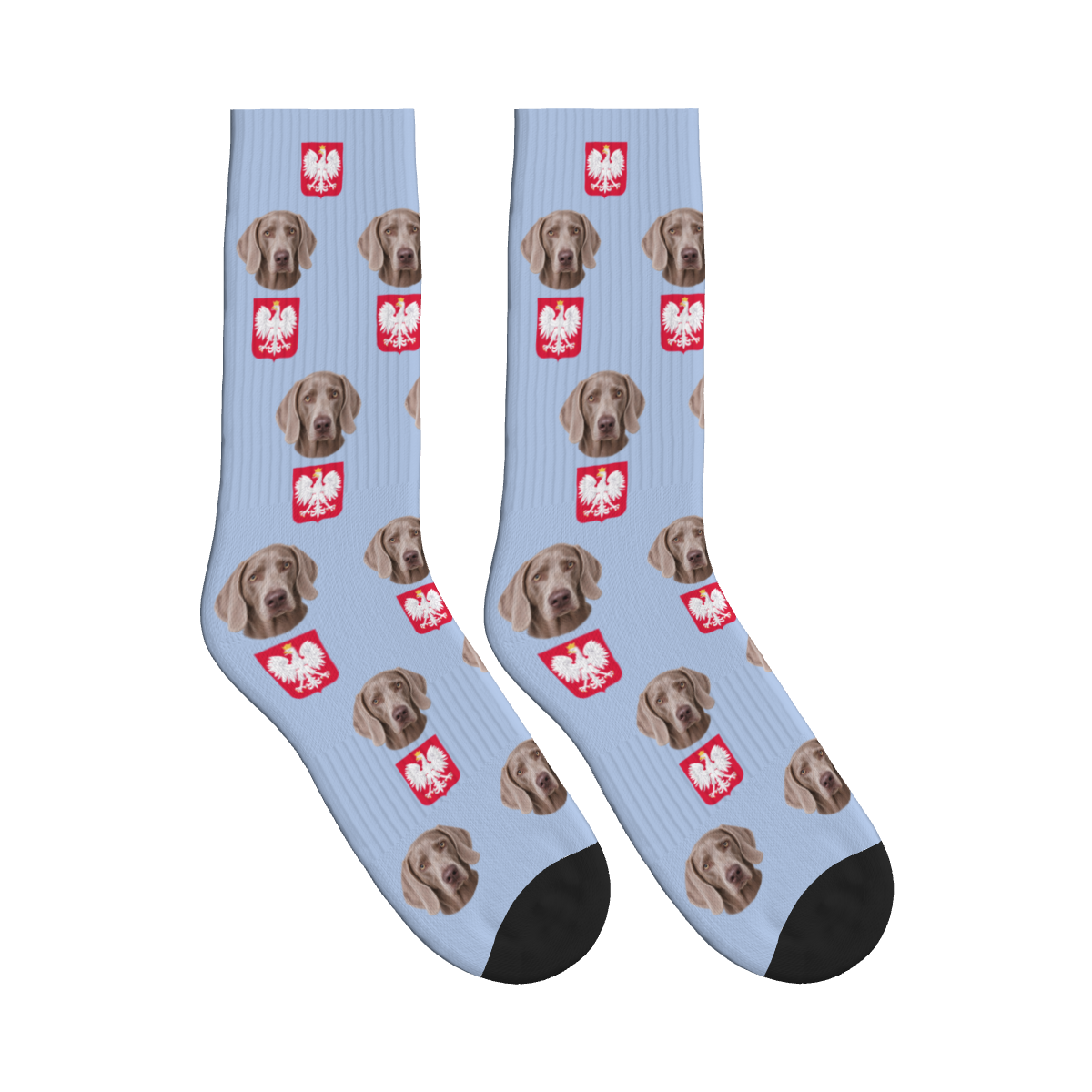 Polish Eagle Dog Face Socks in Periwinkle with a custom dog photo