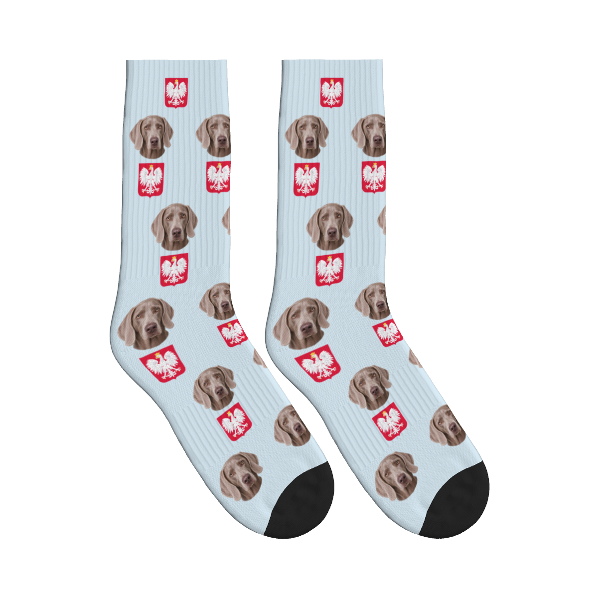 Polish Eagle Dog Face Socks in Powder Blue with a custom dog photo