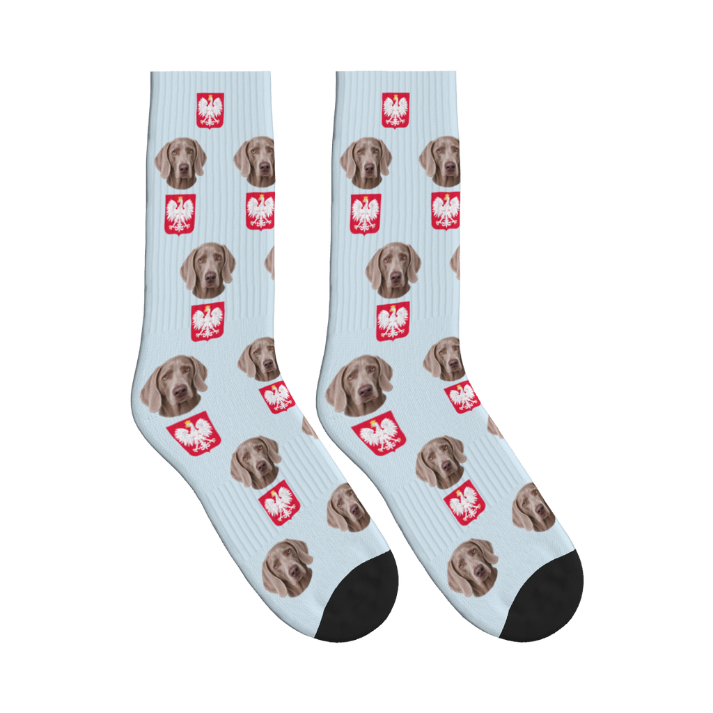 Polish Eagle Dog Face Socks in Powder Blue with a custom dog photo