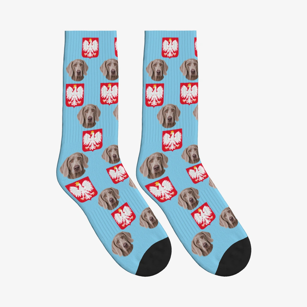 Polish Eagle Dog Face Socks in Sky Blue with a custom dog photo