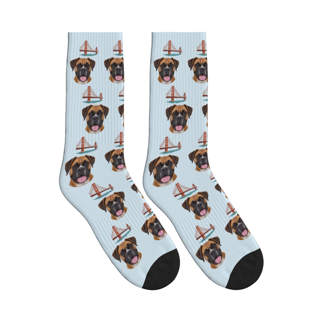 Golden Gate Bridge Dog Face Socks in Powder Blue with a custom dog photo