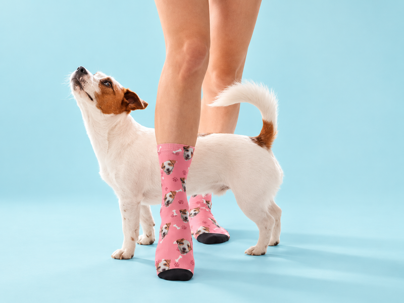 Dog face on socks