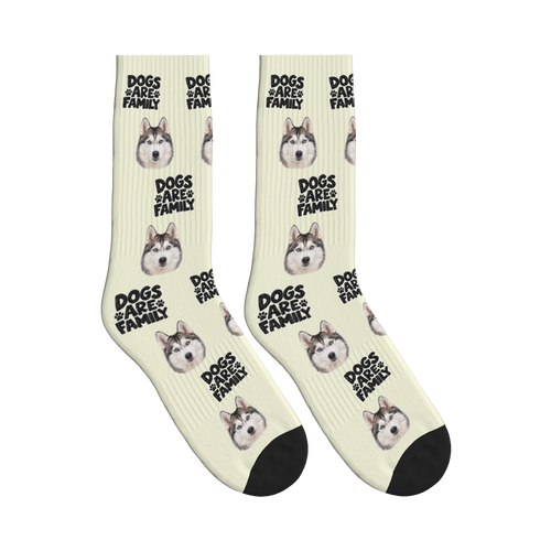 Dogs Are Family Bold Socks in Beige with a custom dog face and Dogs are family lettering