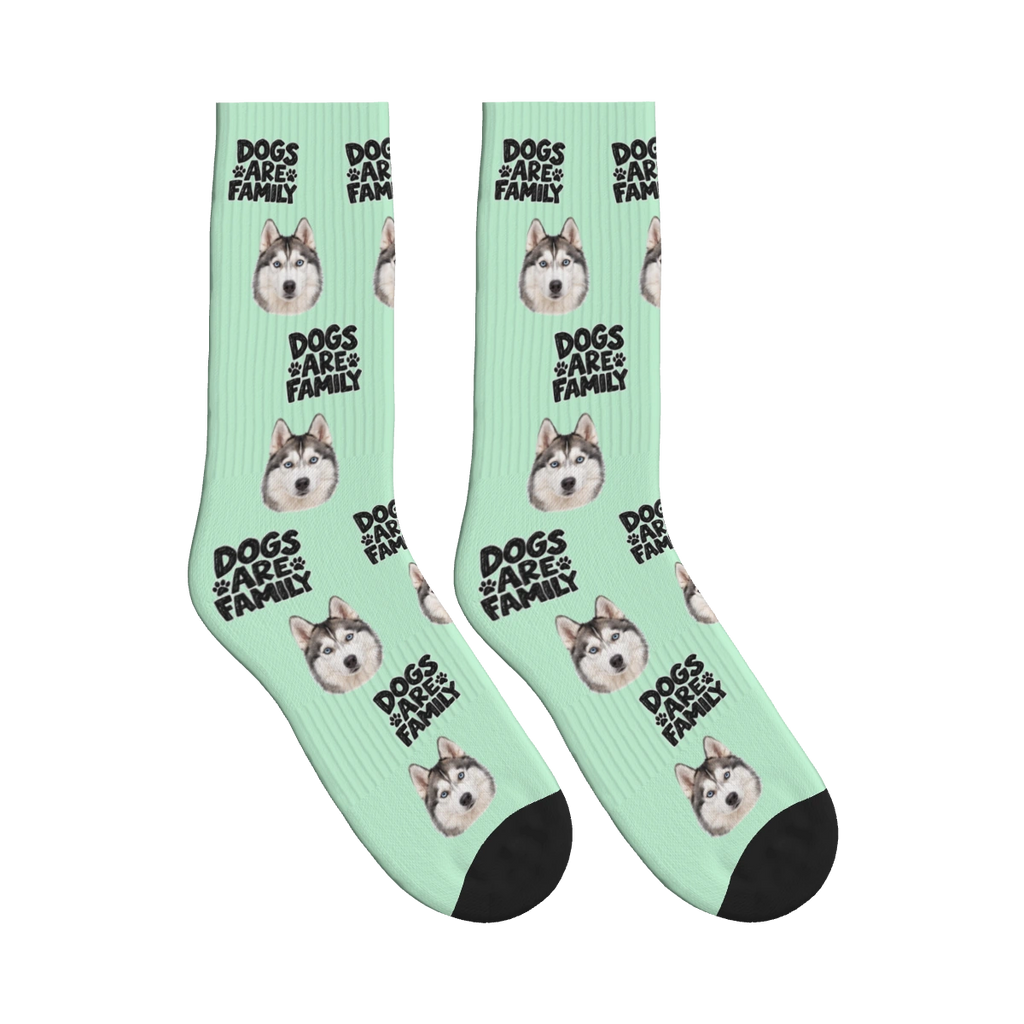 Dogs Are Family Bold Socks in Mint Green with a custom dog face and Dogs are family lettering