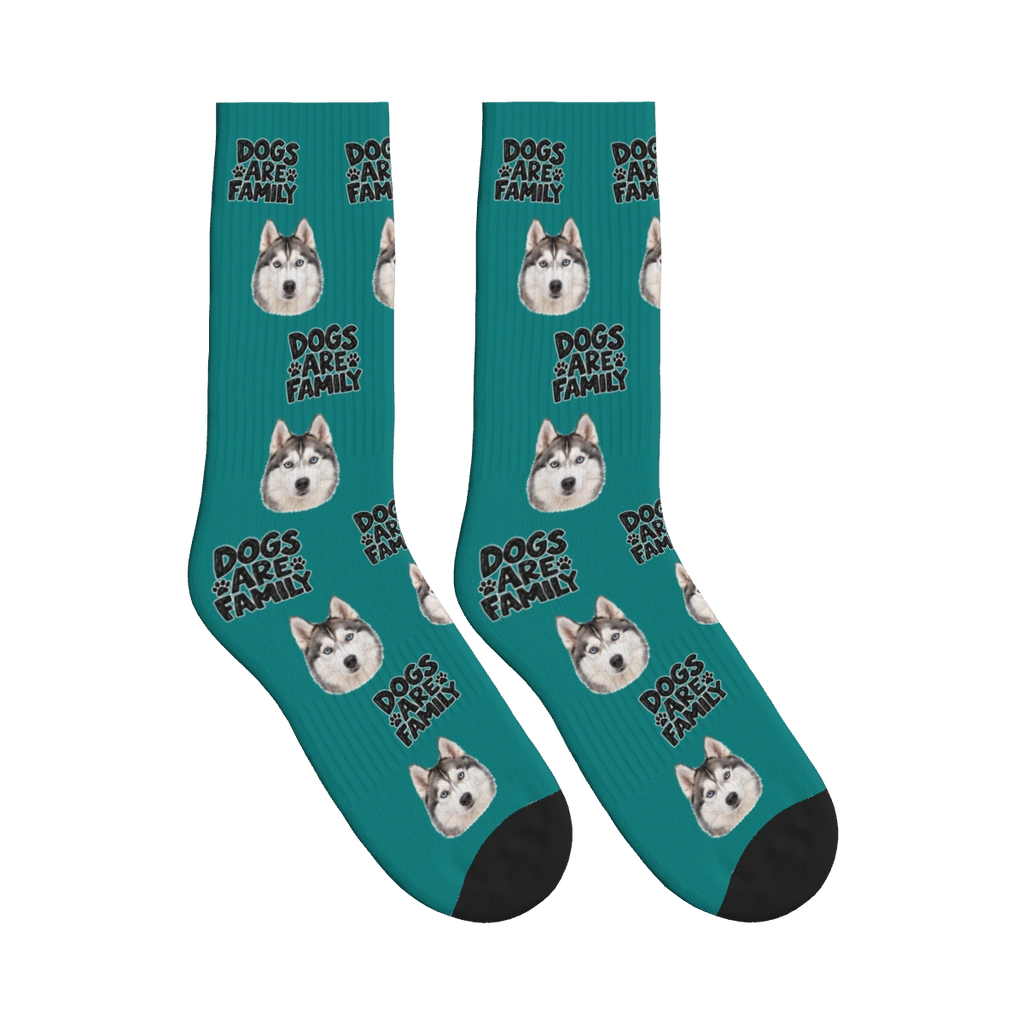 Dogs Are Family Bold Socks in Teal with a custom dog face and Dogs are family lettering