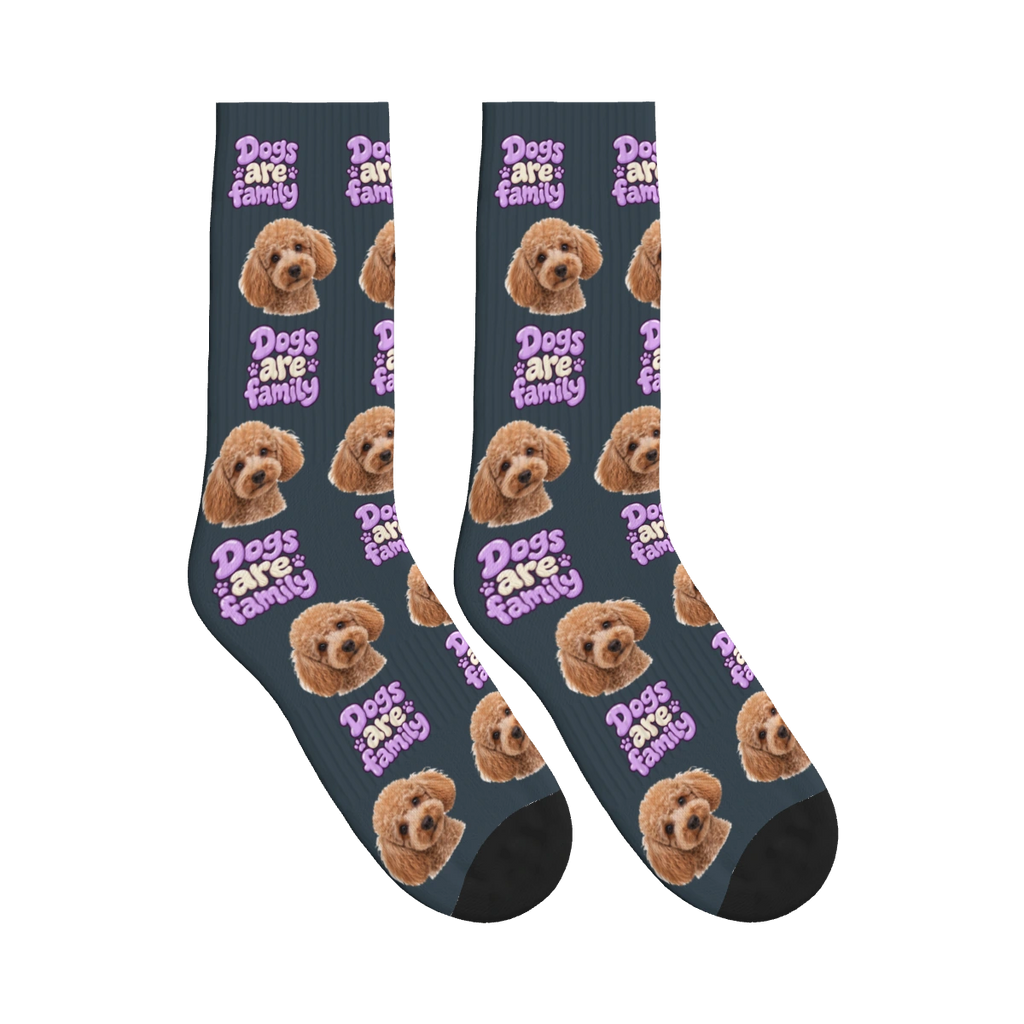 Dogs Are Family Bubble Socks in Charcoal Gray with a custom dog face and Dogs are family lettering
