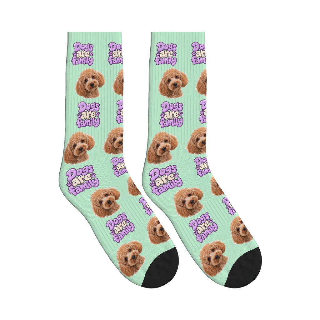 Dogs Are Family Bubble Socks in Mint Green with a custom dog face and Dogs are family lettering