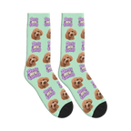 Dogs Are Family Bubble Socks in Mint Green with a custom dog face and Dogs are family lettering