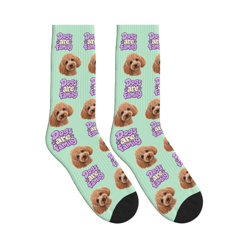 Dogs Are Family Bubble Socks in Mint Green with a custom dog face and Dogs are family lettering