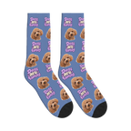 Dogs Are Family Bubble Socks in Slate Blue with a custom dog face and Dogs are family lettering
