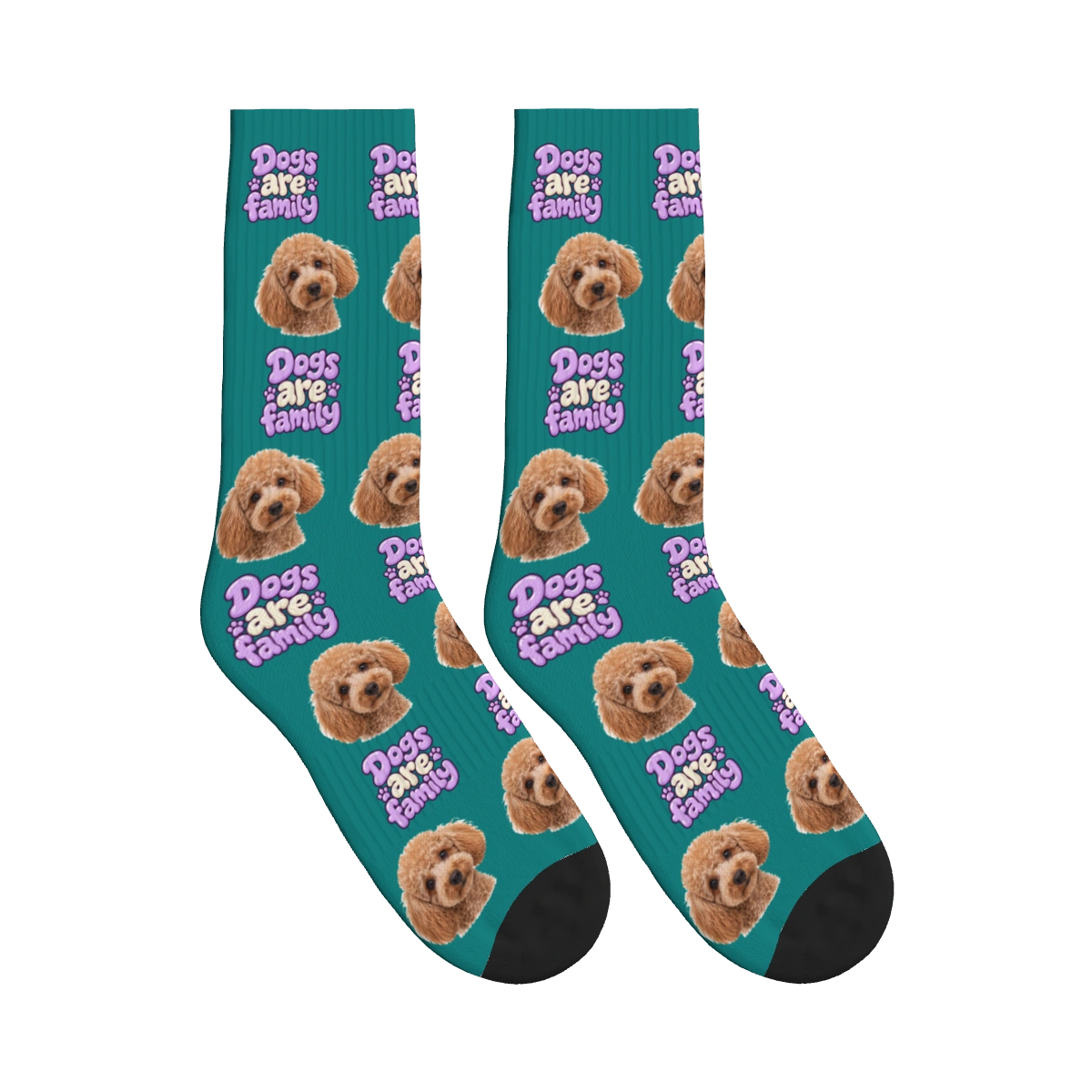 Dogs Are Family Bubble Socks in Teal with a custom dog face and Dogs are family lettering