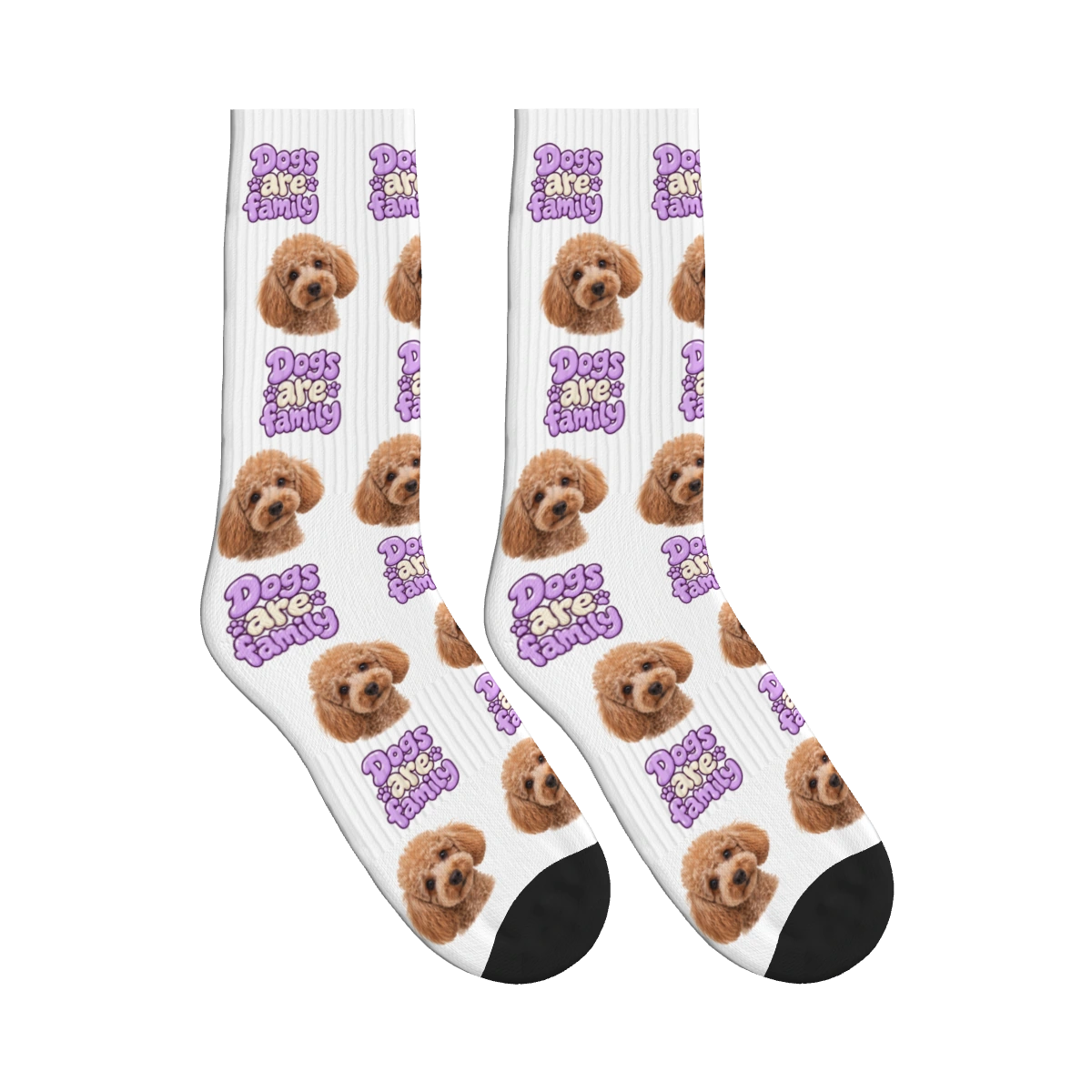 Dogs Are Family Bubble Socks in White with a custom dog face and Dogs are family lettering