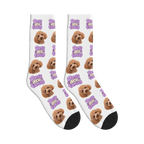 Dogs Are Family Bubble Socks in White with a custom dog face and Dogs are family lettering
