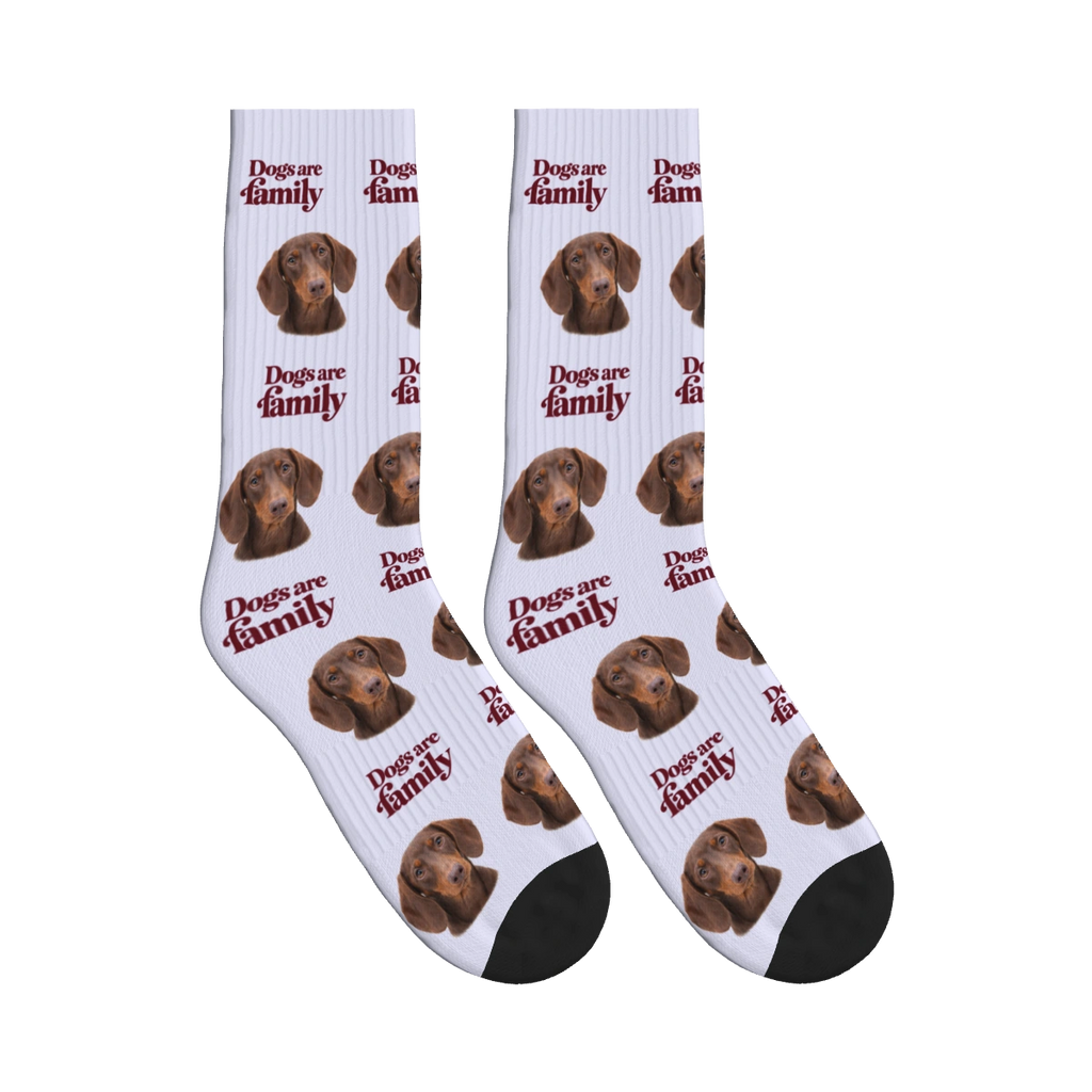 Dogs Are Family Classic Socks in Lavender with a custom dog face and Dogs are family lettering