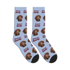 Dogs Are Family Classic Socks in Periwinkle with a custom dog face and Dogs are family lettering