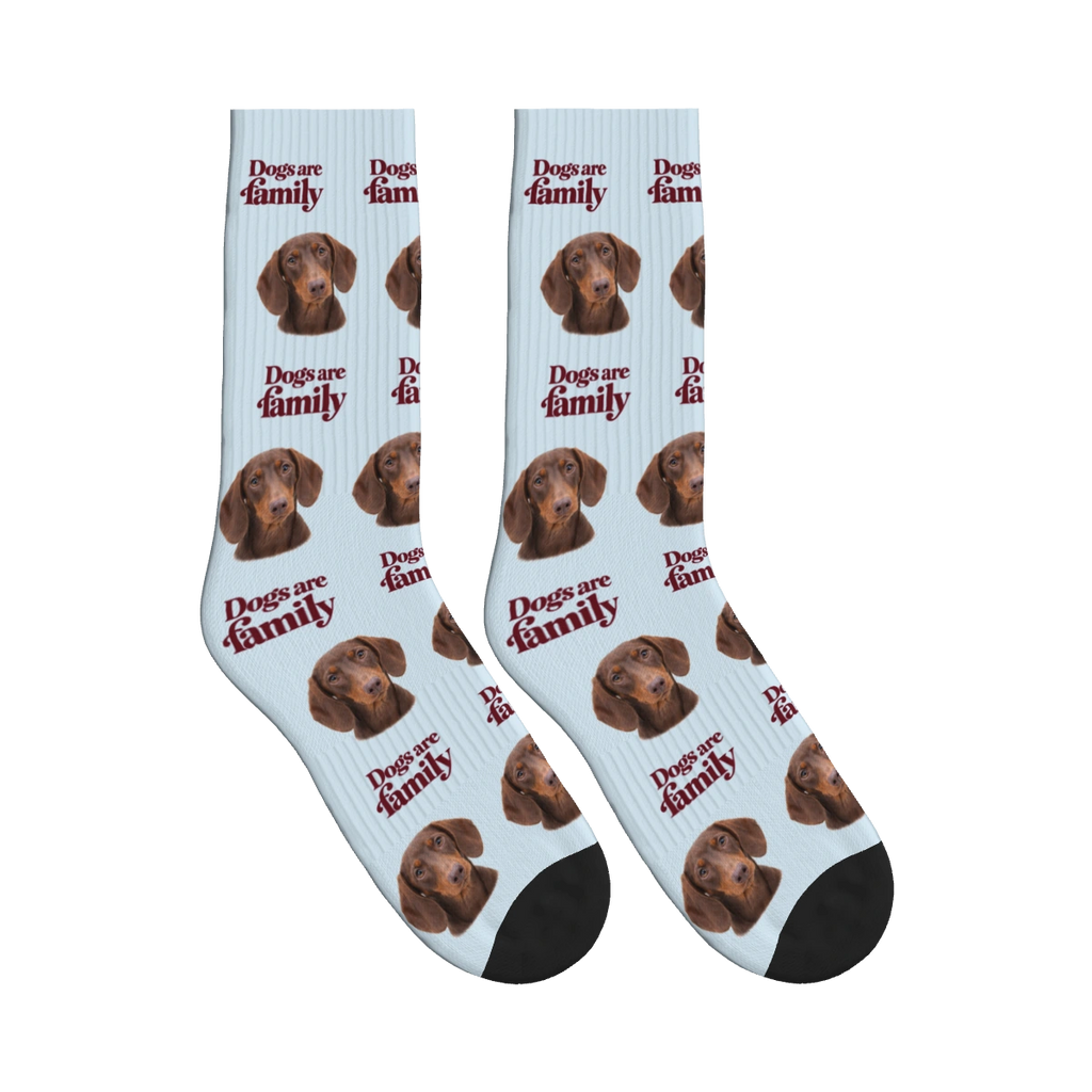 Dogs Are Family Classic Socks in Powder Blue with a custom dog face and Dogs are family lettering