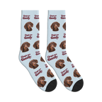 Dogs Are Family Classic Socks in Powder Blue with a custom dog face and Dogs are family lettering