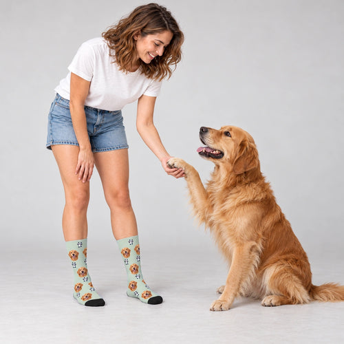 Little Panda Dog Face Socks in Soft Sage, Crew Socks modeled with a golden retriever