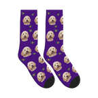 Little Bat Dog Face Socks in Deep Purple with a personalized dog photo