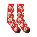 Beer Mug Dog Face Socks in Red with a personalized dog photo