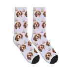 Barkday Cake Dog Face Socks in Lavender with a personalized dog photo