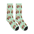 Barkday Cake Dog Face Socks in Mint Green with a personalized dog photo