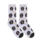 Book Lover Dog Face Socks in Lavender with a personalized dog photo