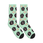 Book Lover Dog Face Socks in Mint Green with a personalized dog photo