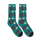 Book Lover Dog Face Socks in Teal with a personalized dog photo