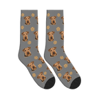 Cookie Dog Face Socks in Gray with a personalized dog photo