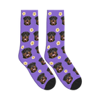 Sunny Side Up Dog Face Socks in Purple with a personalized dog photo