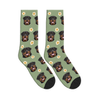 Sunny Side Up Dog Face Socks in Sage Green with a personalized dog photo