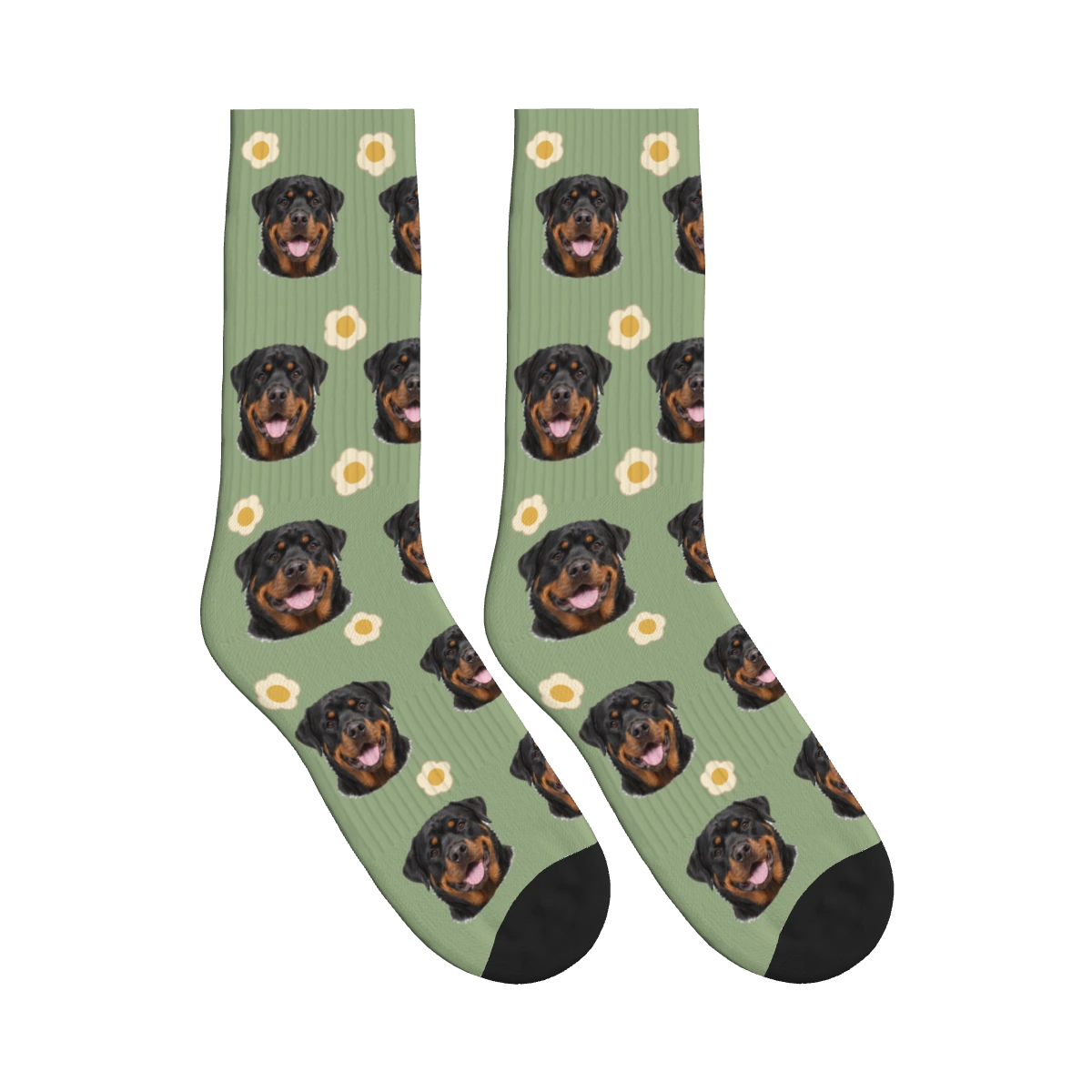 Sunny Side Up Dog Face Socks in Sage Green with a personalized dog photo
