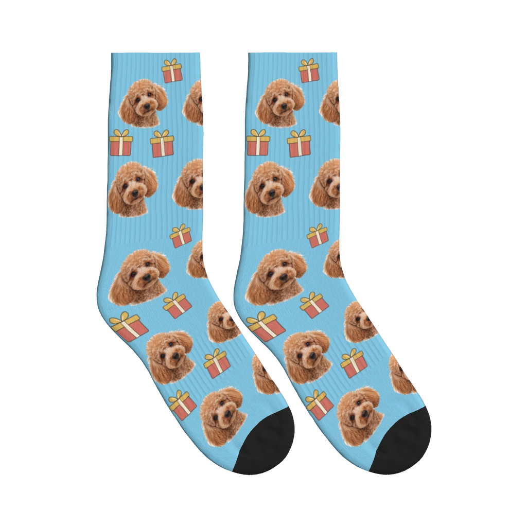 Little Presents Dog Face Socks in Sky Blue with a personalized dog photo