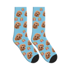 Little Presents Dog Face Socks in Sky Blue with a personalized dog photo