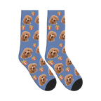 Little Presents Dog Face Socks in Slate Blue with a personalized dog photo