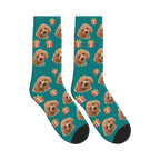Little Presents Dog Face Socks in Teal with a personalized dog photo