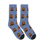 Little Glasses Dog Face Socks in Slate Blue with a personalized dog photo