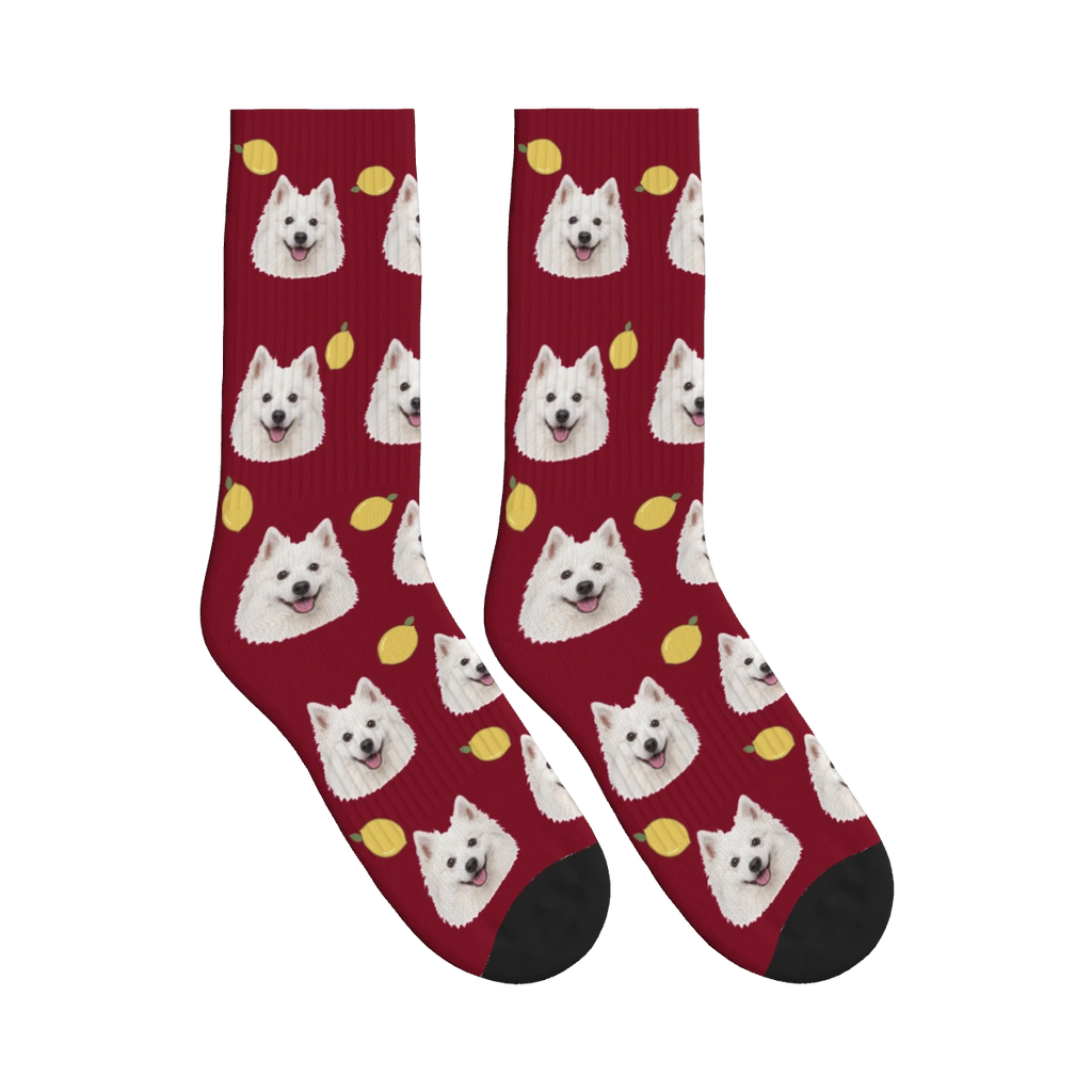 Lemon Dog Face Socks in Burgundy with a personalized dog photo