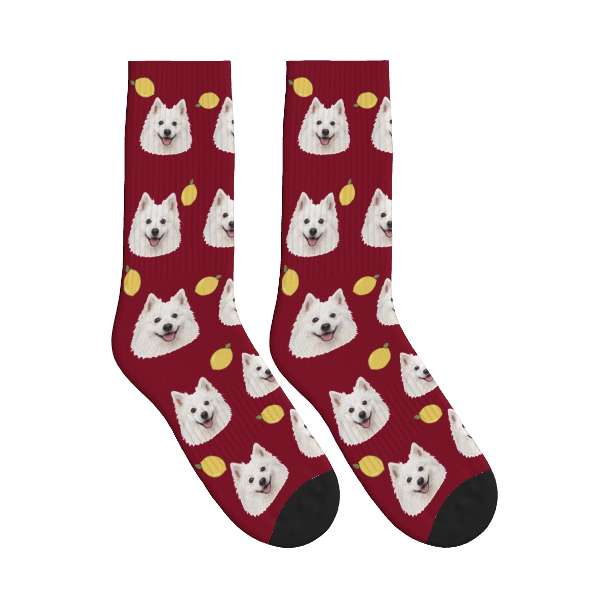 Lemon Dog Face Socks in Burgundy with a personalized dog photo