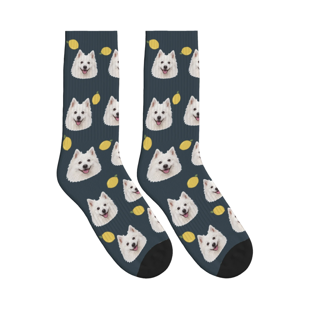 Lemon Dog Face Socks in Charcoal Gray with a personalized dog photo