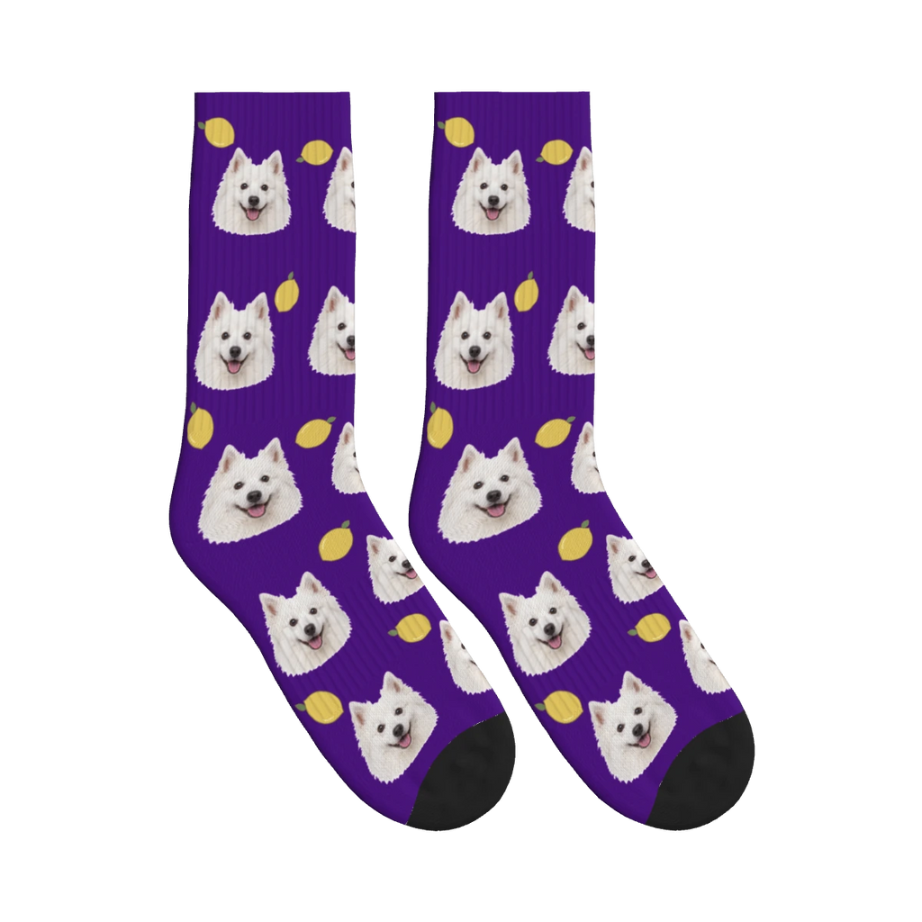Lemon Dog Face Socks in Deep Purple with a personalized dog photo