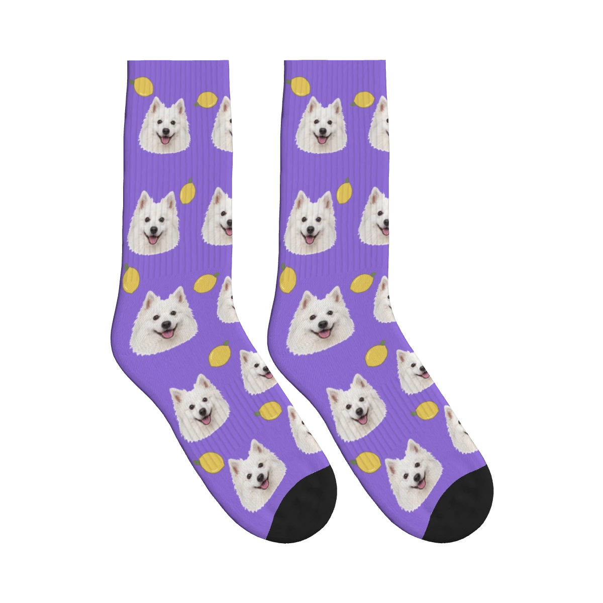Lemon Dog Face Socks in Purple with a personalized dog photo