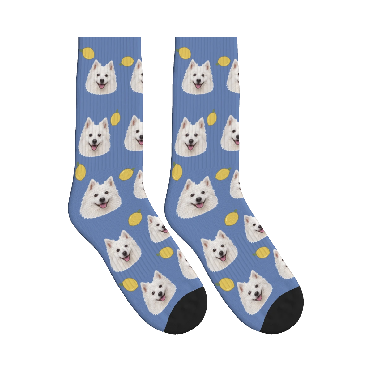 Lemon Dog Face Socks in Slate Blue with a personalized dog photo