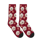 Mushroom Dog Face Socks in Burgundy with a personalized dog photo
