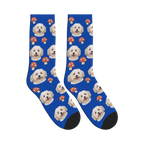 Mushroom Dog Face Socks in Cobalt Blue with a personalized dog photo