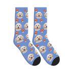 Mushroom Dog Face Socks in Cornflower Blue with a personalized dog photo